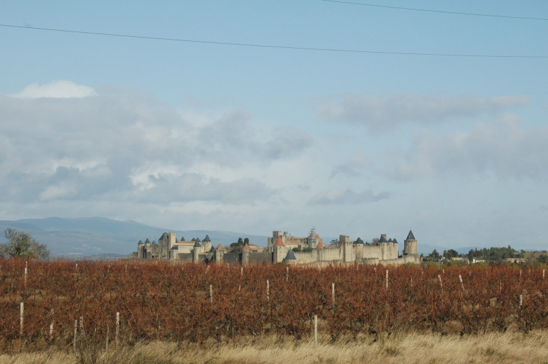 DSC_3690-scaled